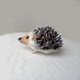 Handmade Hedgehog 'Steve'