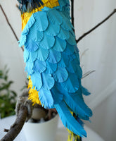 Handmade paper mache Blue and gold macaw parrot