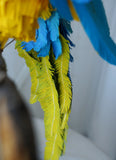 Handmade paper mache Blue and gold macaw parrot