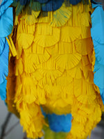 Handmade paper mache Blue and gold macaw parrot