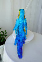 Handmade paper mache Blue and gold macaw parrot