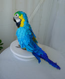 Handmade paper mache Blue and gold macaw parrot