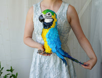 Handmade paper mache Blue and gold macaw parrot