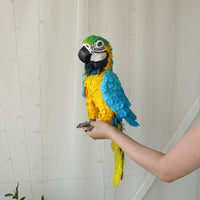 Handmade paper mache Blue and gold macaw parrot